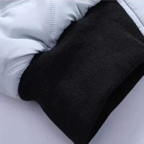 Dennis | Stylish Winter Jacket